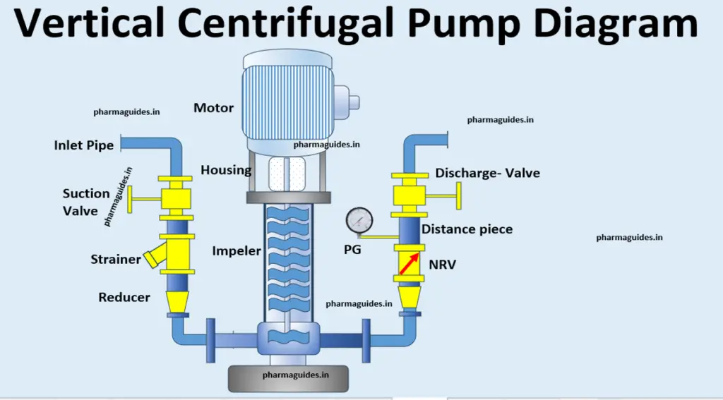 Vertical Centrifugal Pump Diagram